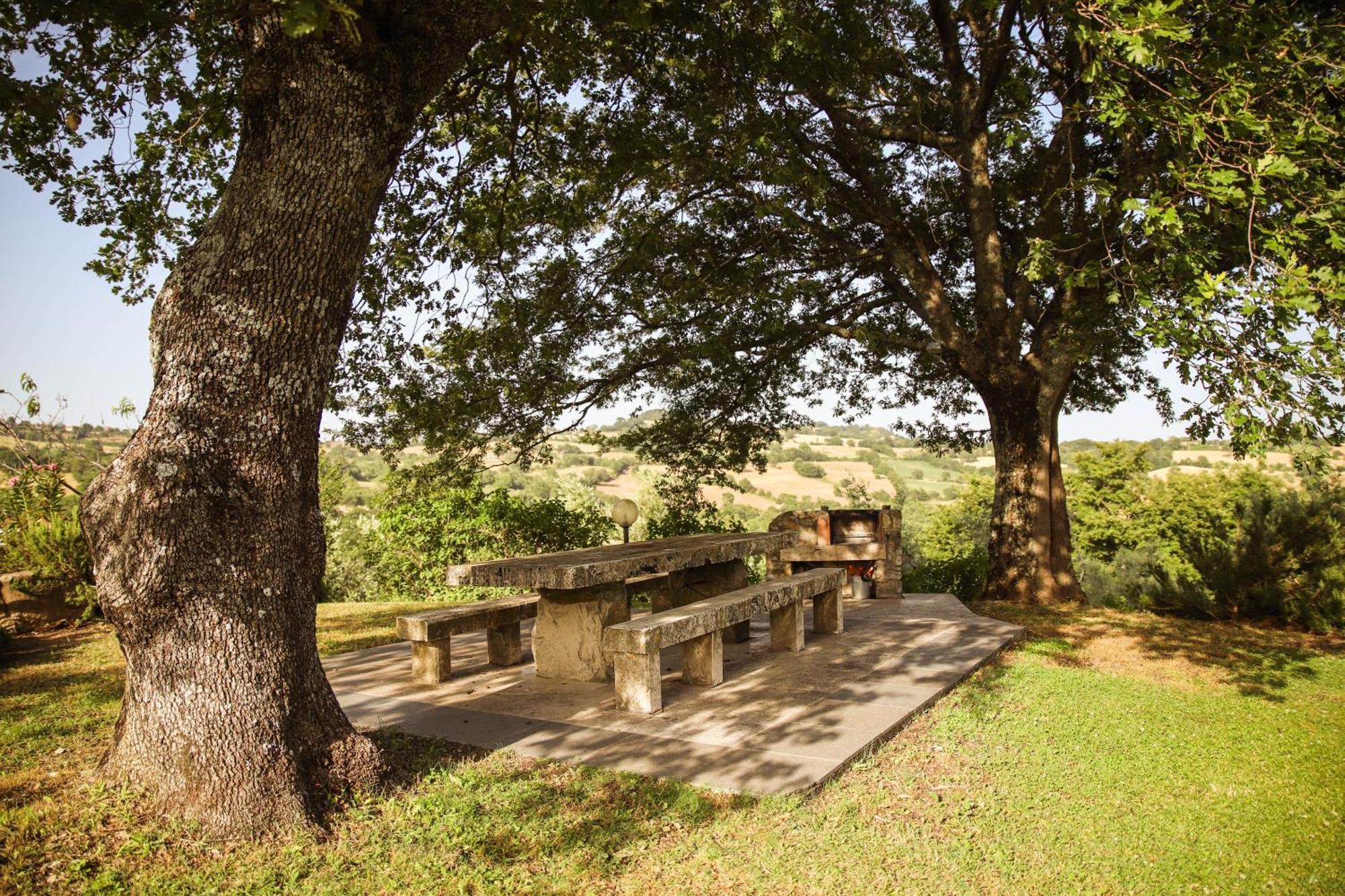 Bio Agriturismo Poggio Aione ساتورنيا المظهر الخارجي الصورة