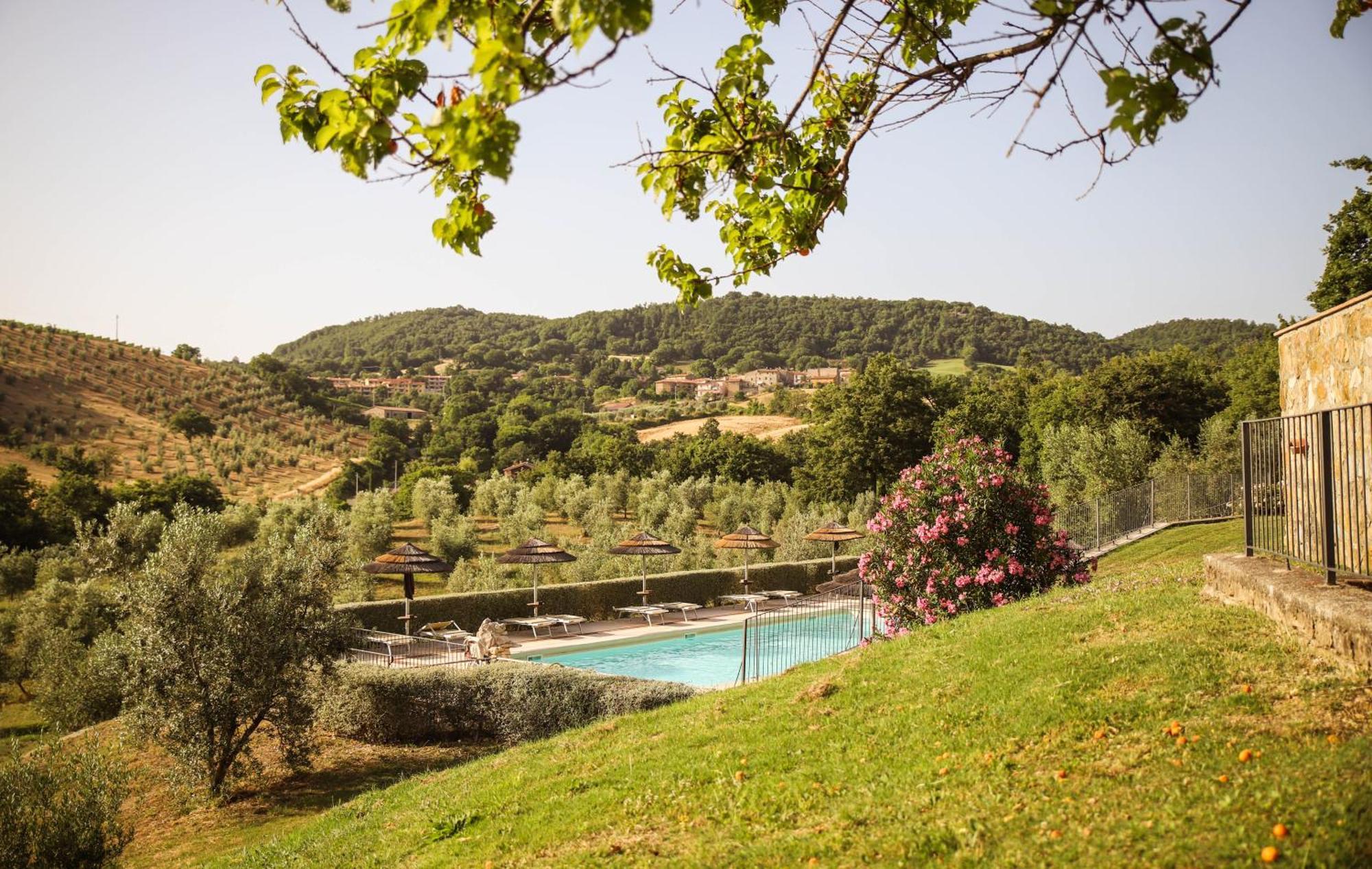 Bio Agriturismo Poggio Aione ساتورنيا المظهر الخارجي الصورة